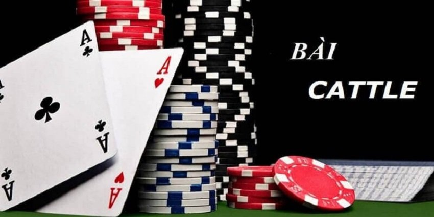 Trong 4 vòng đầu tiên bạn phải chọi nhau để tranh tùng